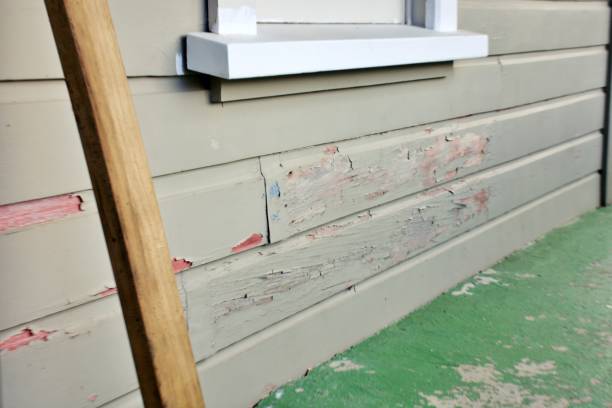 Best Hoarding Cleanup  in Soh Weber, UT